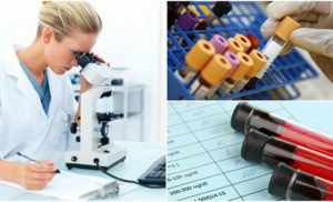 laboratorija-kuce-zdravlja5